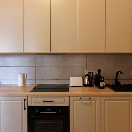 Victoriei Square Apartment Temesvár Kültér fotó