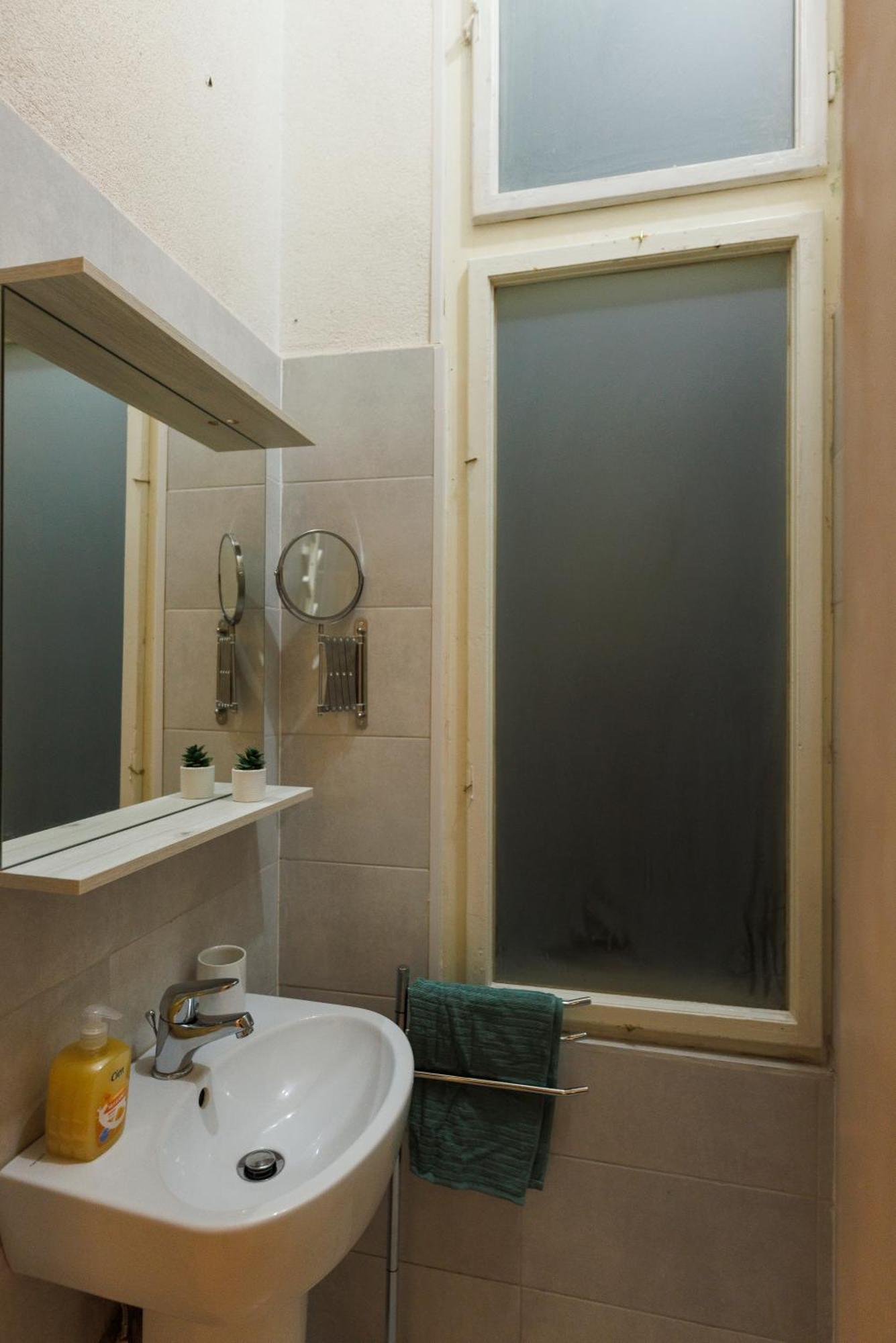 Victoriei Square Apartment Temesvár Kültér fotó